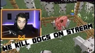 WE KILL MINECRAFT DOGS FOR FUN ON STREAM?! || Caztron builds Minecraft Houses for his Subs
