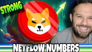 Shiba Inu Coin | Показатели чистого потока SHIB рисуют позитивную картину на конец 2025 года!