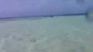 Tandem Kiteboarding Bahamas