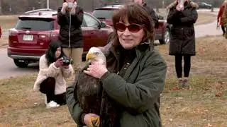 2024 Eagle Release Video for Bald Watching Eagle Days