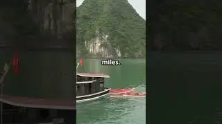 Top 5 Longest Rivers! #facts #river #earth #nature #vacation #water #top5