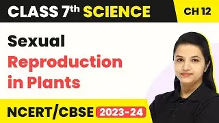 Vegetative Reproduction & Sexual Reproduction - Reproduction in Plants | Class 7 Science Chapter 12