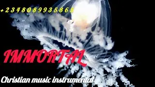 Powerful Worship Song - IMMORTAL CHRISTIAN MUSIC INSTRUMENTAL 