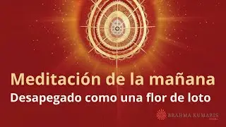 Meditación de la mañana: 