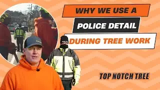 Why We Use a Police Detail During Tree Work on the South Shore | Top Notch Tree