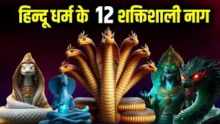 हिन्दू धर्म के 12 सबसे शक्तिशाली नाग | Most Powerful Snake in Hinduism