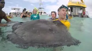 Stingray Bay