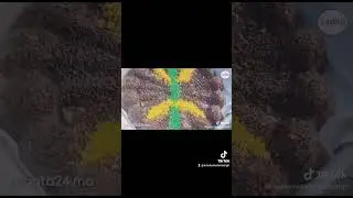 mohamed amazigh Nsoos
