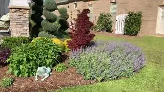 Pink Zebra Landscapes Design Walk Through