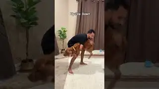 Upside down trend with my dog 🐶#dogs #upside#trending #trending shorts #goldenretriever #dogdad