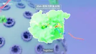 RAG-17 Explained: The siRNA Drug Revolutionizing ALS Treatment