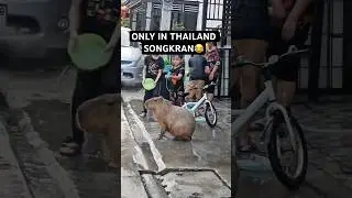 Only in Thailand when Songkran&hellip; 😂😍🇹🇭 #shorts #bangkok #funny