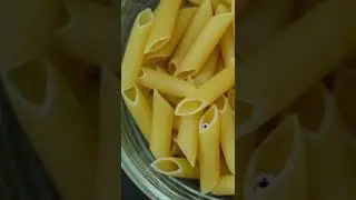 Pasta & Puppet #Shorts