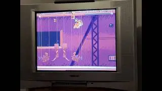 ProtoCorgi running in a CRT Monitor at 4:3