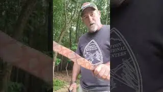 HuntPrimitive HT Model bow