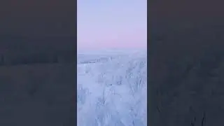 This is not Japan, this is Finland #shorts