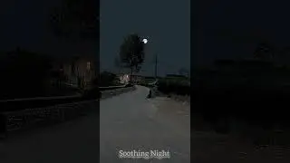 Village Night Sounds, Cricket sounds,#shorts #viral