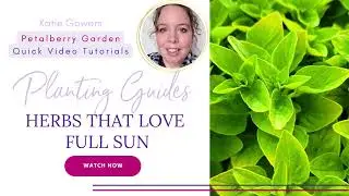 Herbs That Love Full Sun - Short Video Tutorial With Petalberry Garden
