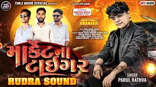 Market Na Tiger | Parul Rathva New Timli | Parul Rathva | Trending Timli | Vinayak Music Production