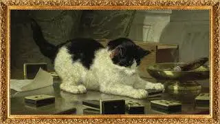 Curious Cat Still Life | 4K TV Art | Frame TV Ambient Display