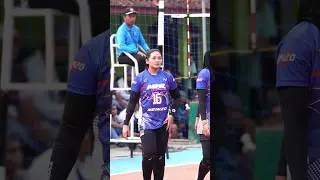 setter cantik tiara sanger