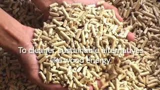 Wood Biomass for a Clean Energy Future