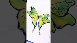 #shorts #butterflyart #butterflylove #lovestory #artshorts #shortsart #love #🦋#himigouachemetallic
