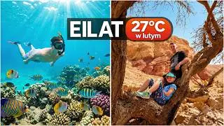 Eilat w lutym: 27°C, rafa Morza Czerwonego i Timna Park (10/10)