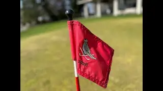 Whip 2022 Highlights