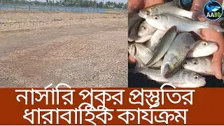 রেণু ছাড়ার আগে নার্সারি পুকুর উত্তমভাবে প্রস্তুতের ধারাবাহিক কাজসমূহ Best Way of Nursery Preparation