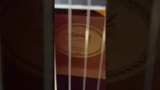 Guitarra Mitchell MO120CESB Electro ac&uacute;stica.