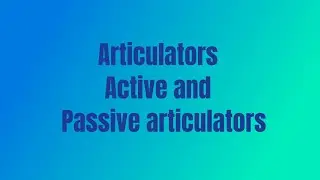 Articulators Active and Passive articulators