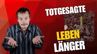 Totgesagt und doch gerettet &ndash; warum Geduld beim Growen entscheidend ist