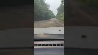 Дорога до столицы Удэгеи - Гвасюгов. road to the capital of the Udege - Gvasyugi.
