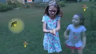 KIDS CATCH FIREFLIES!