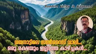 വയനാട്ടിലെ സൺറൈസ് വാലി ഒരു രക്ഷയും ഇല്ലാത്ത കാഴ്ച്ചകൾ | sunrise valley in wayanad | sunrise valley