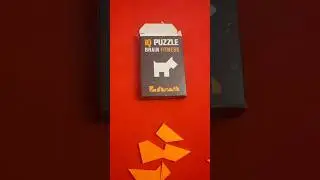 IQ puzzle brain Fitness @Dog 8 piese/ 8 pieces