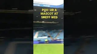 POV: UR A MASCOT AT SHEFF WED