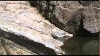 Poza el Coipo