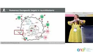DR. SARA FEDERICO, ST. JUDE APPROACH TO HIGH RISK NBL