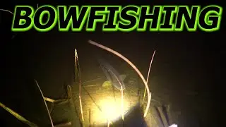 Bowfishing Swamp Style