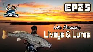 Butchers Bite Ep 25 - Live Bait Goes BIG! Yakka, Slimeys, Mulloway & More!