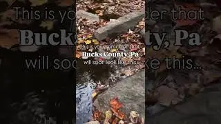 Fall in Bucks County, Pa