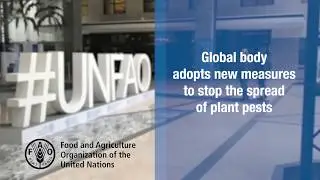 Global body adopts new measures to stop the spread of plant pests