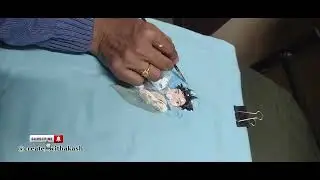 Hand-Painting a Boy and His Cat#animeart #boycatlove #customtshirt #fabricpainting #handpaintedshirt