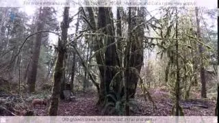 $79,900 - 21621 Elbow Lake Rd SE , Yelm, WA 98597