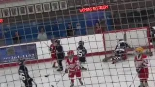 Fun in the Sun Tournament mt2 Game 4 Red Wings 18 vs 5 SD Oilers b1 9-04-16
