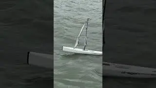 Joysway DF95 C rig slow motion