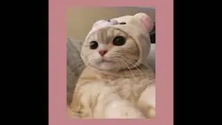 i know the reason for her sadness - malice mizer (sped up)