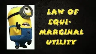 PRINCIPLES OF ECONOMICS: LAW OF EQUI-MARGINAL UTILITY